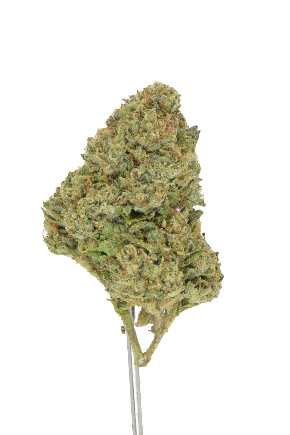 Lemon Cherry Gelato