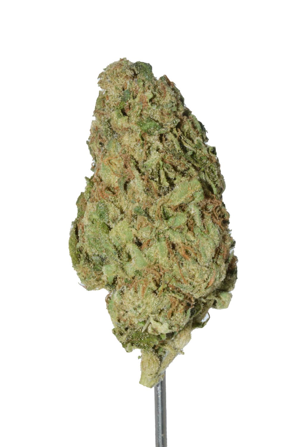Blue Nerdz THCA Flower