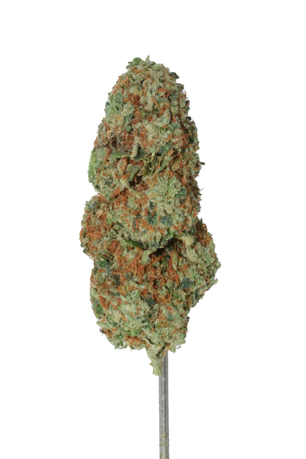 Gelato Zkittlez
