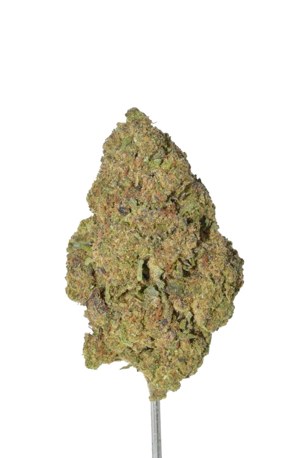 White Cherry Gelato