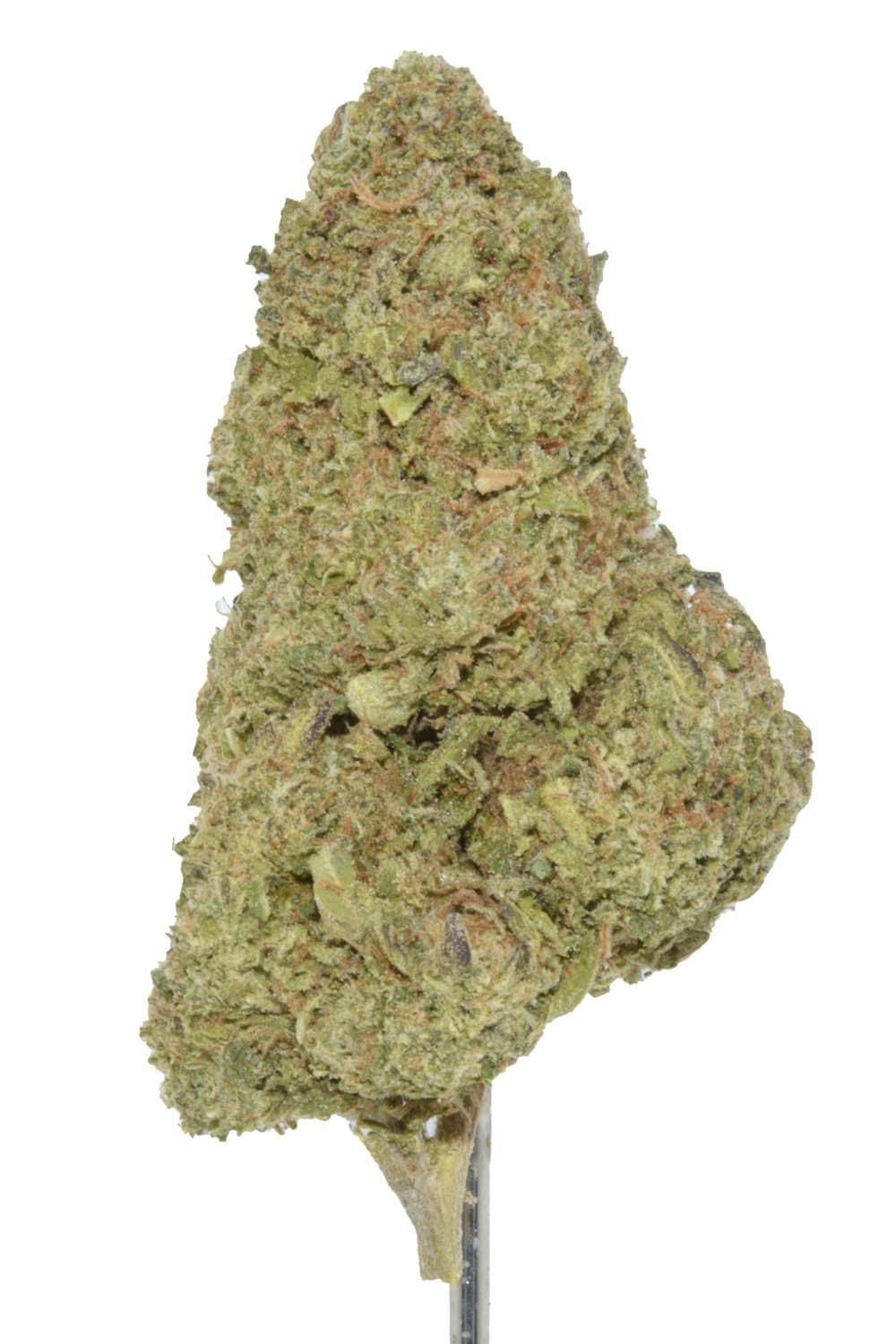 Hindu Kush
