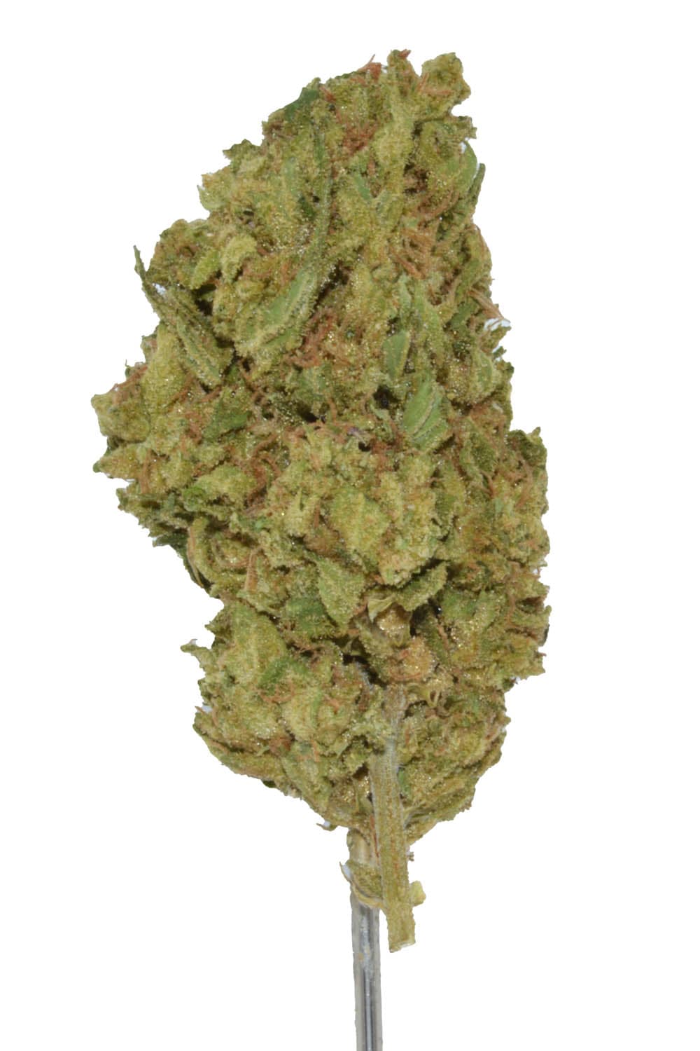 Key Lime Pie