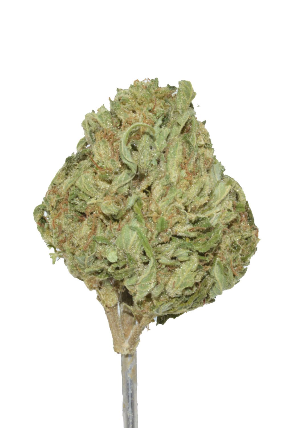 Loud Candy Cream