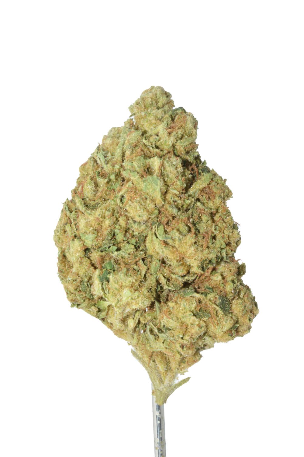 Motor Breath