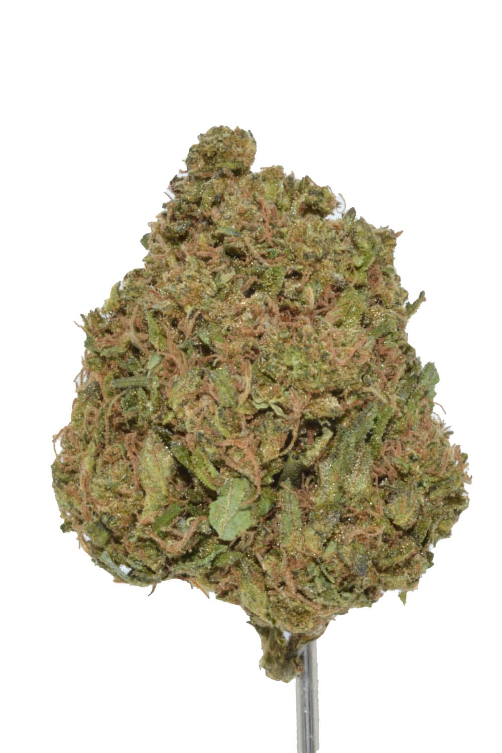 Peach Crescendo