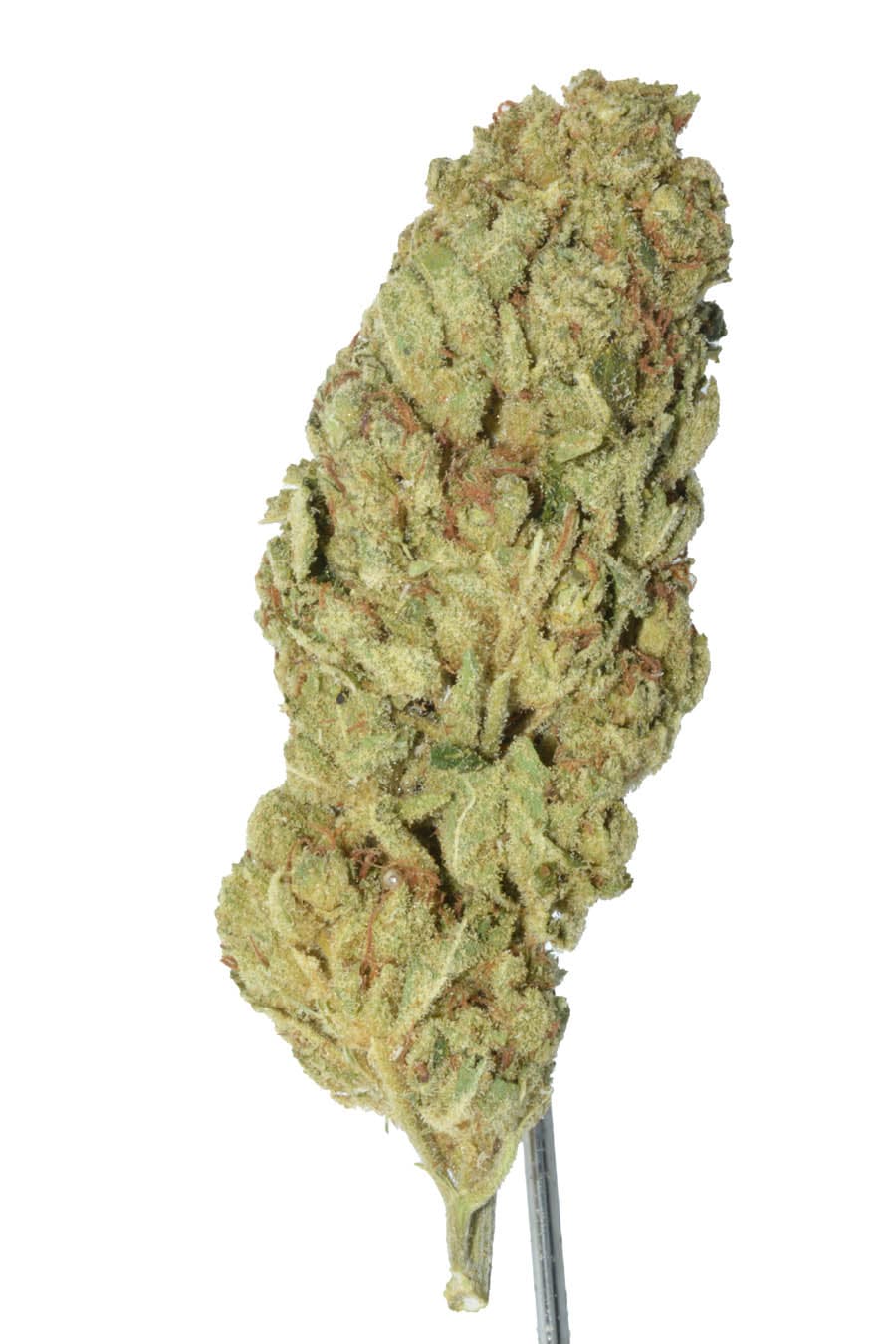 OG Kush