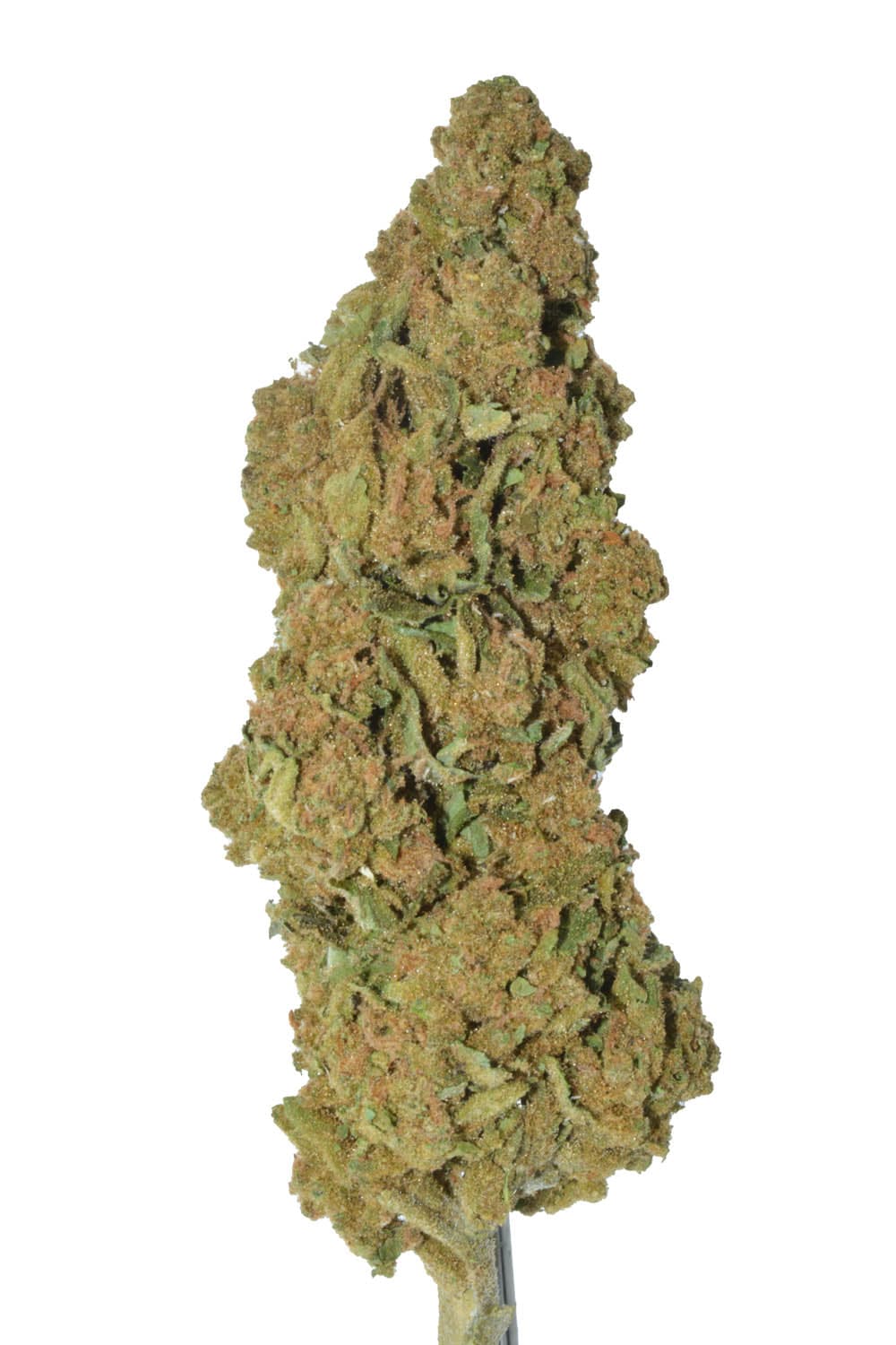 Trainwreck