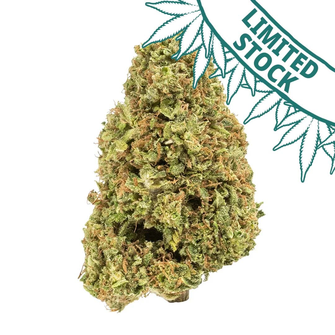 Cakeberry Brulee | CBD Flower