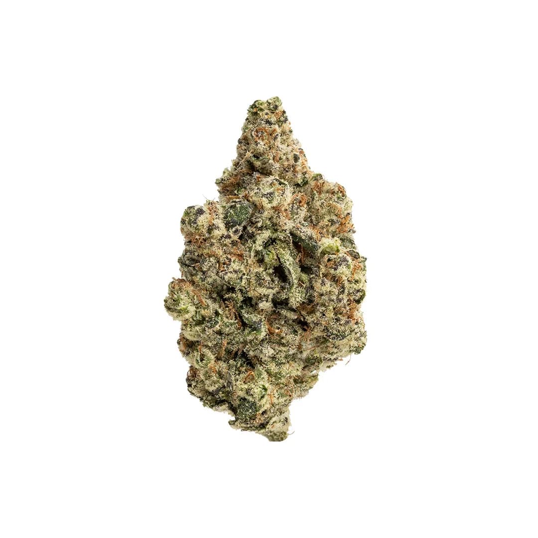 Lizard Burger | THCA Flower (Indoor)