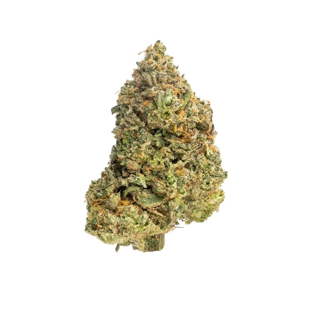 Lazer Wolf | THCA Flower (Indoor)
