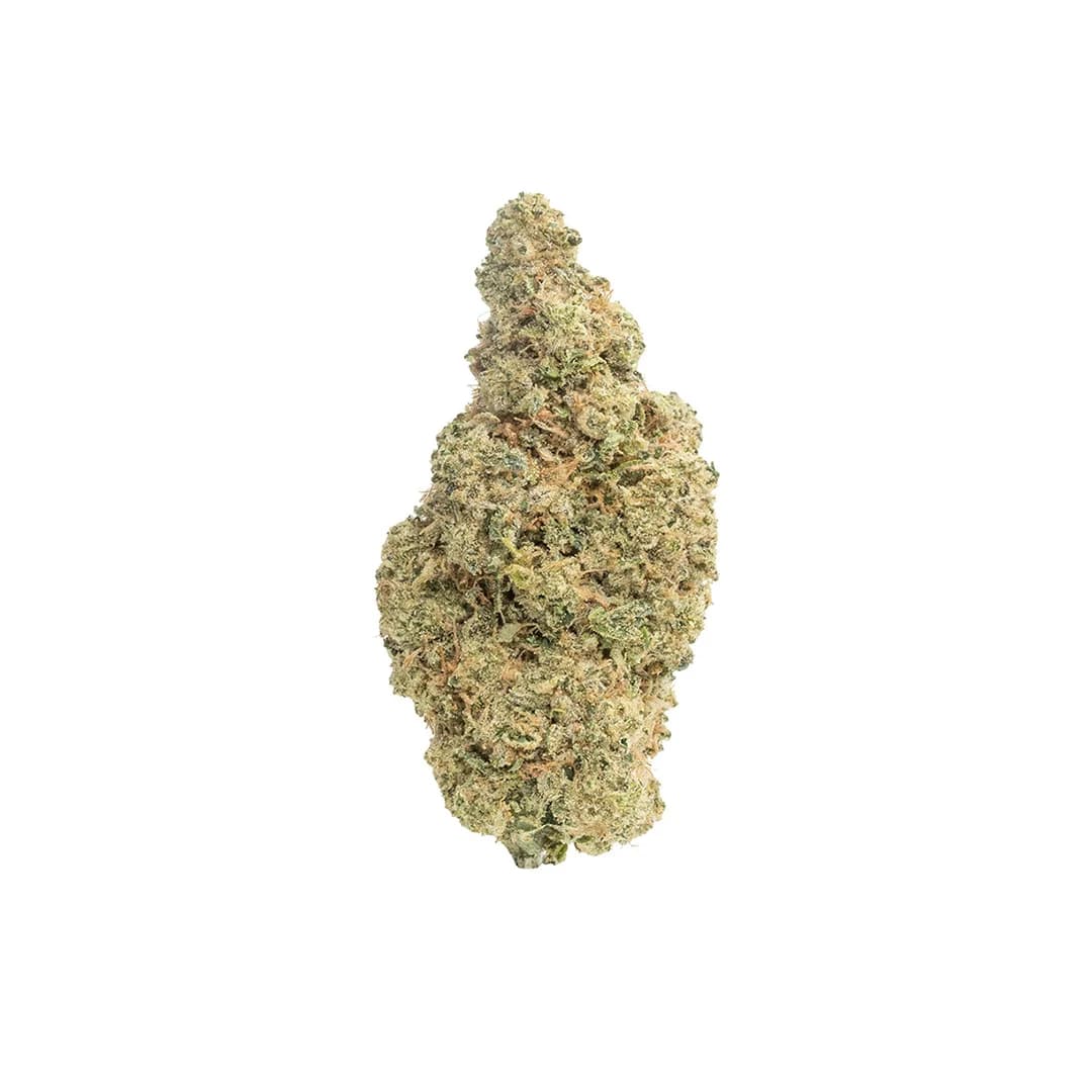 Hash Burger | THCA Flower (Indoor)