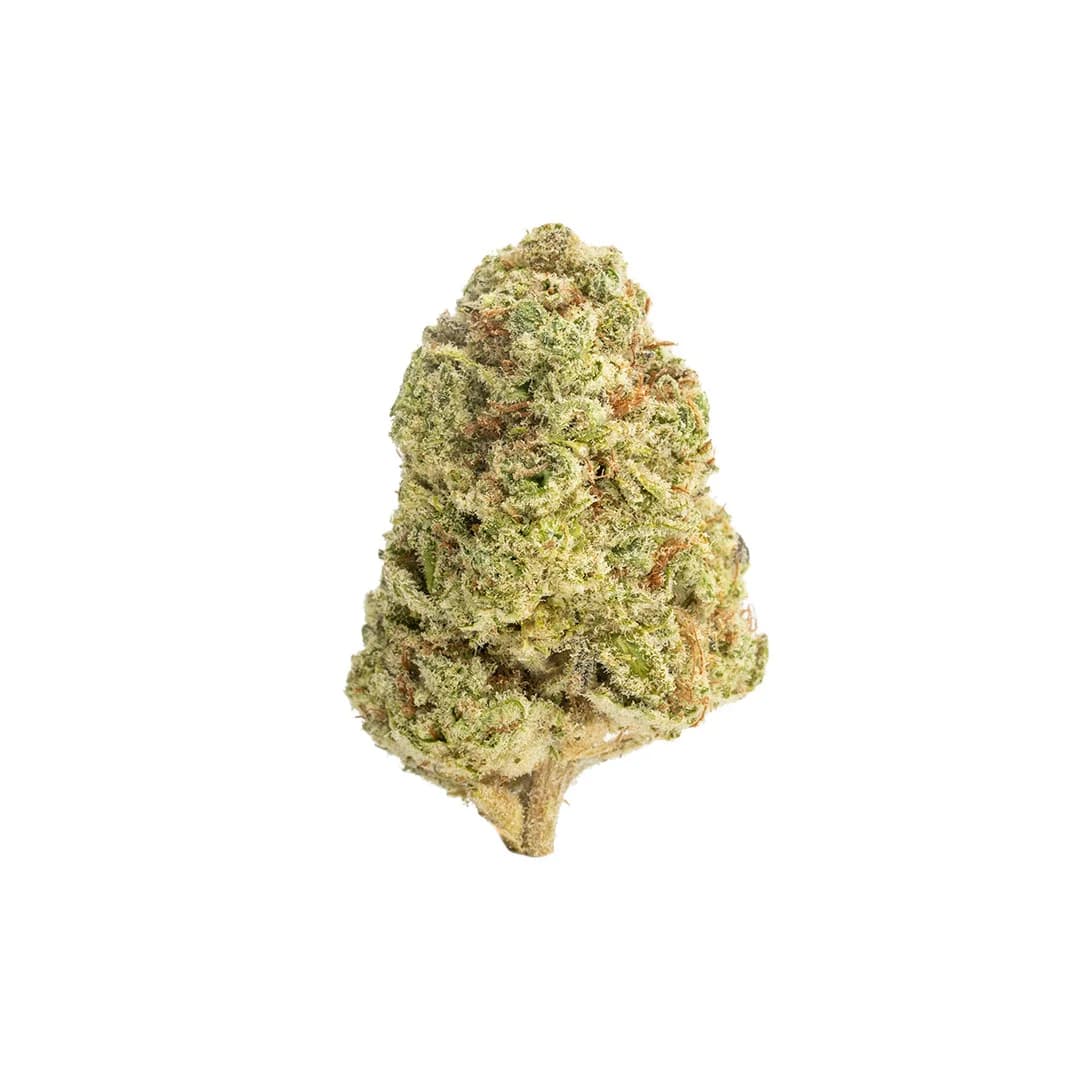 Trap Queen | THCA Flower (Light Assist)