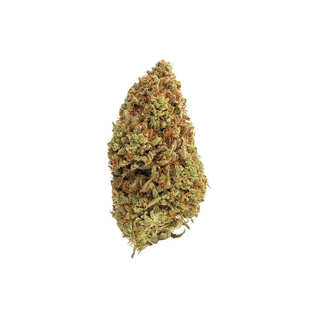 Daiquiri Factory | CBD Flower