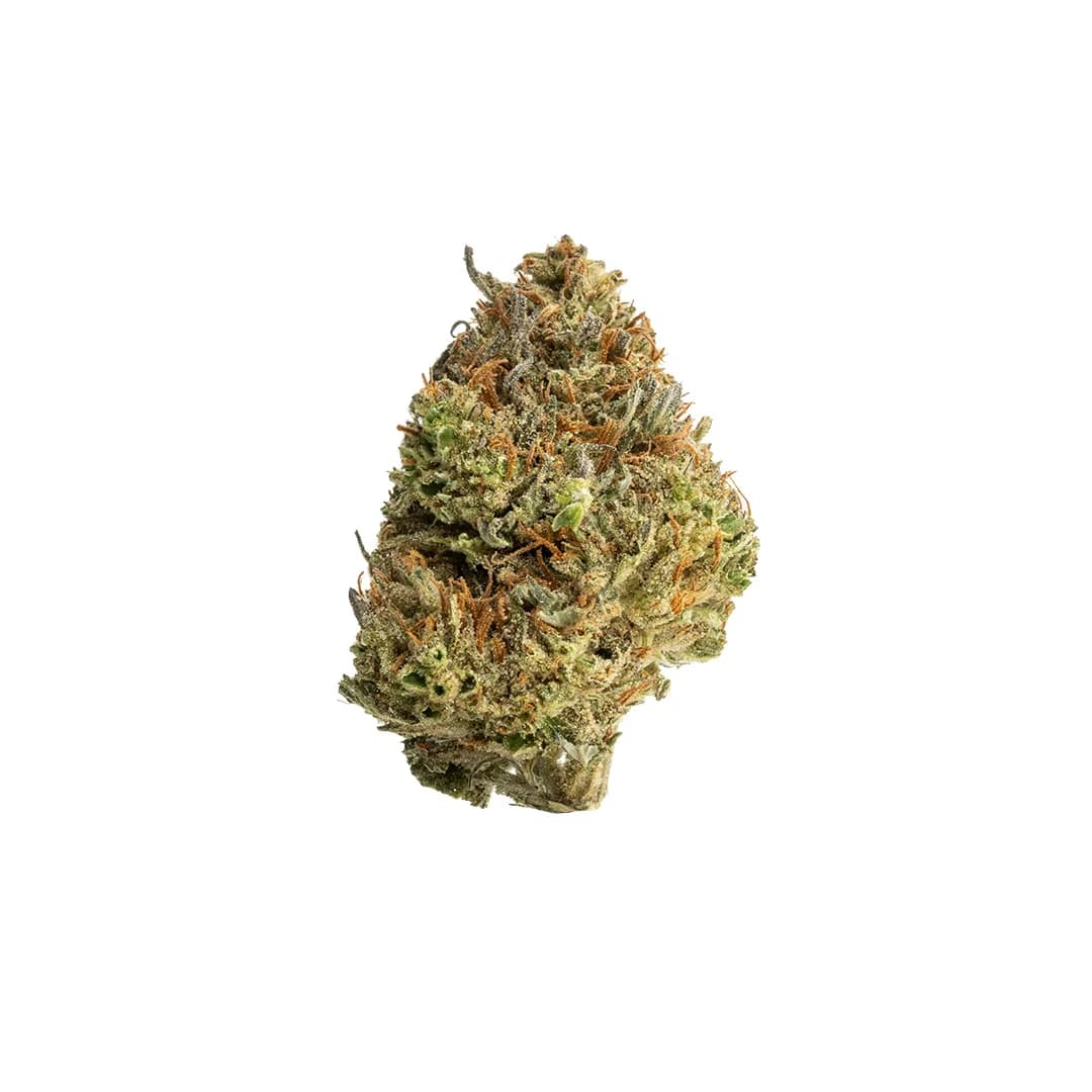 Don Souci | THCA Flower (Outdoor)
