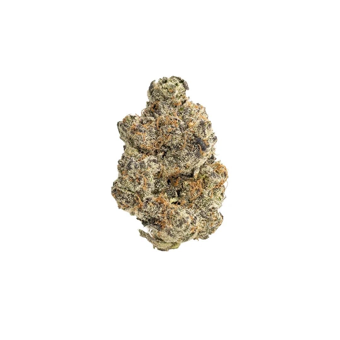 Lemon Cherry Gelato | THCA Flower (Indoor)