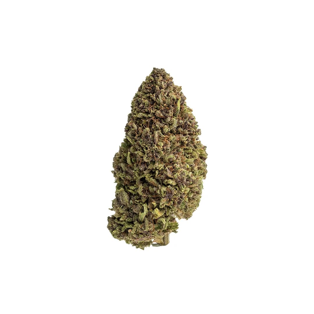 Strawberry Fritter | CBD Flower