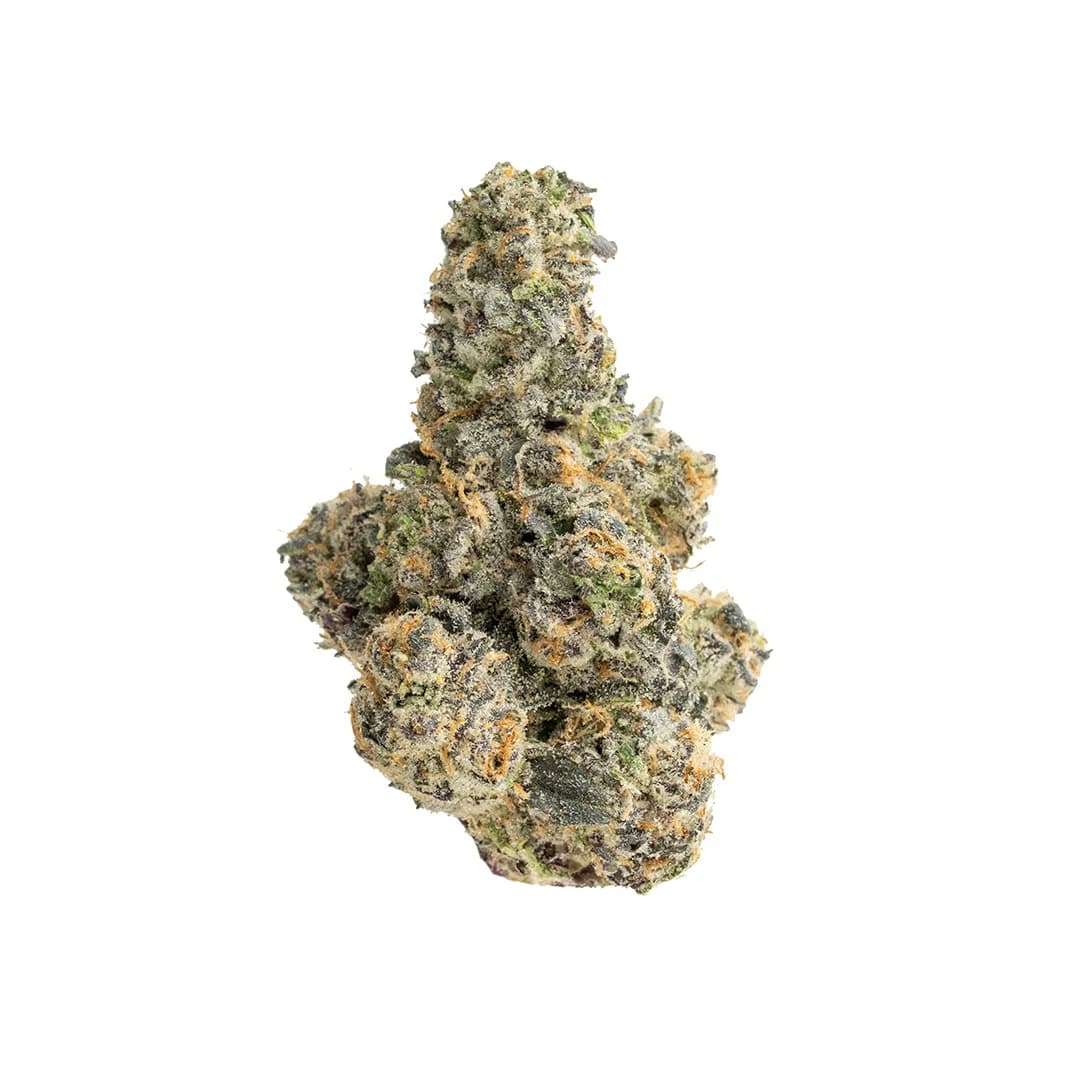 Purple Chrome | THCA Flower (Indoor)