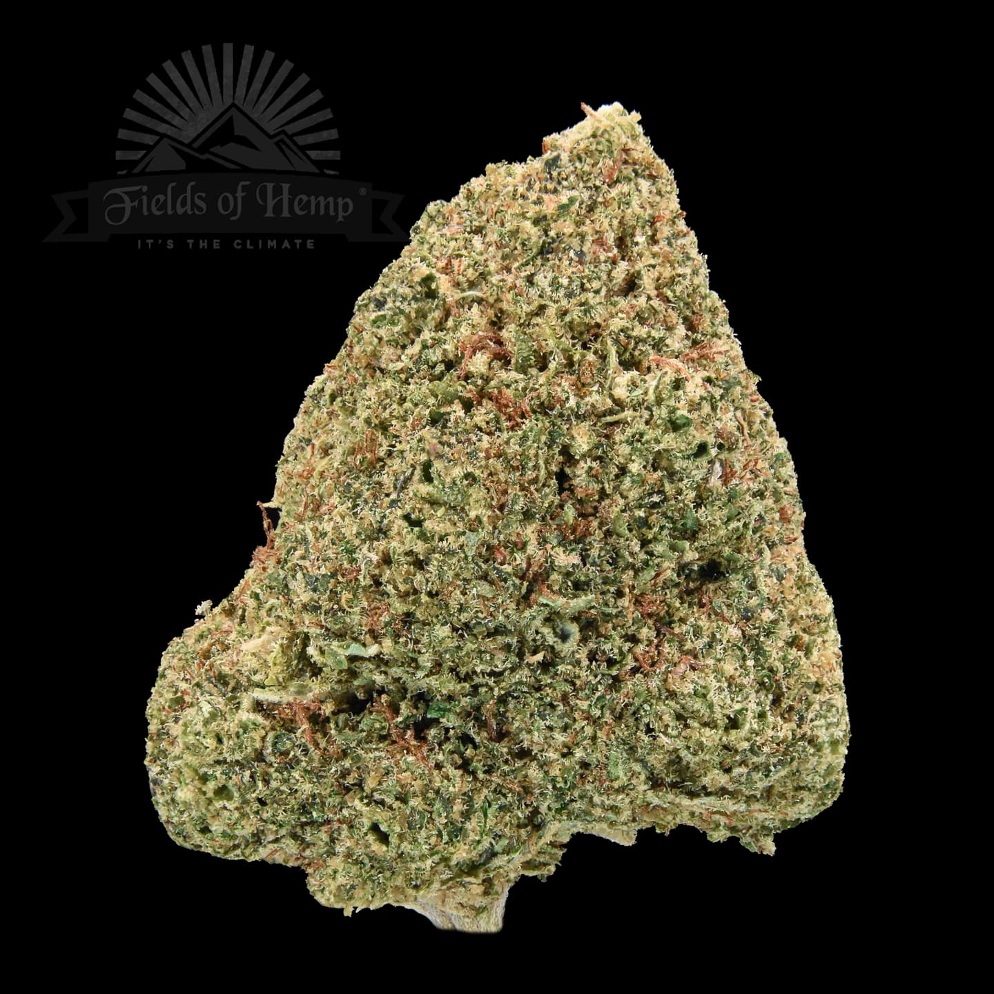 Bubba Kush NEW 2025