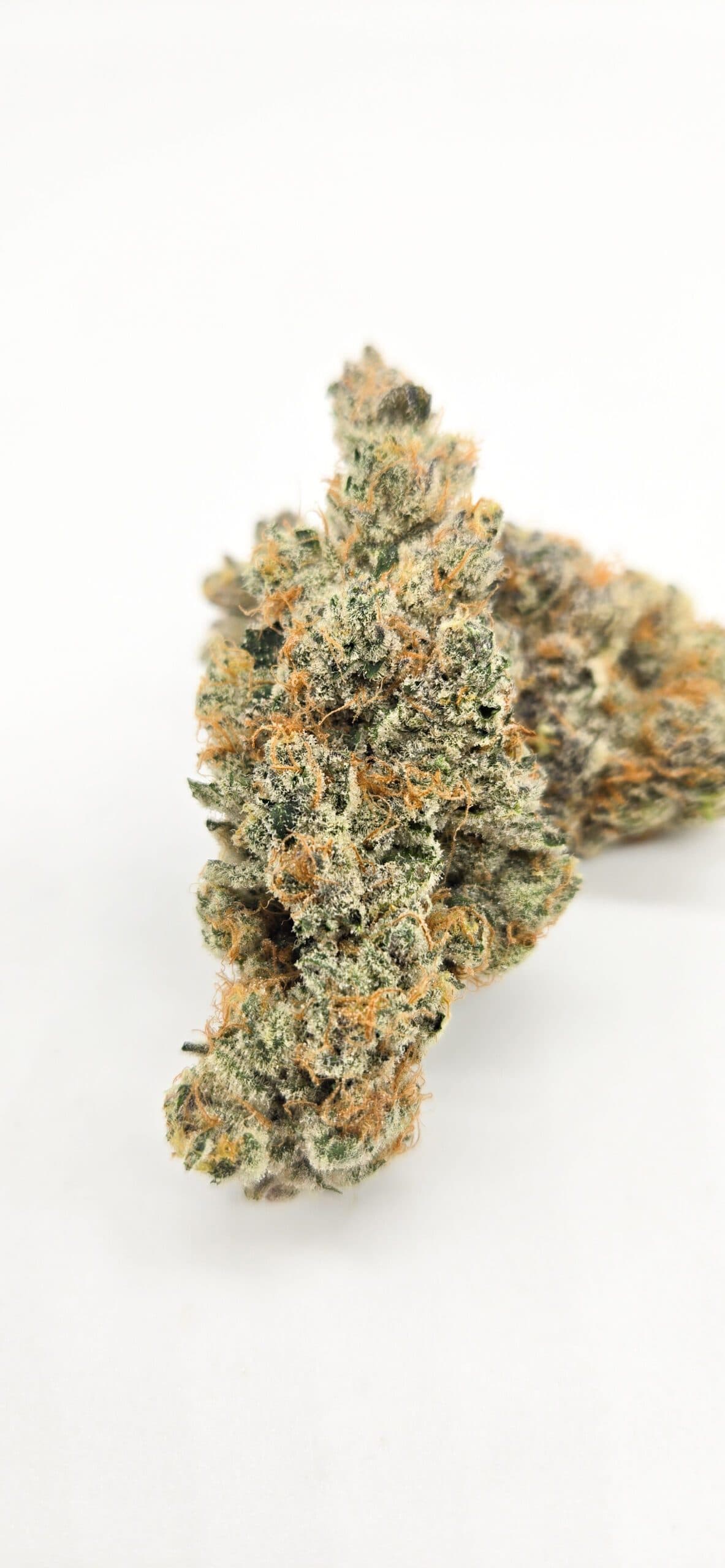 Super Boof ( Indoor ) Hybrid