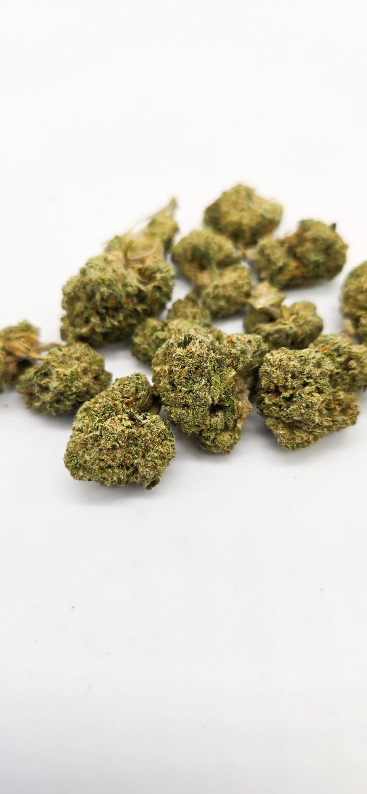 White Rhino Smalls ( Indoor ) Indica Hybrid