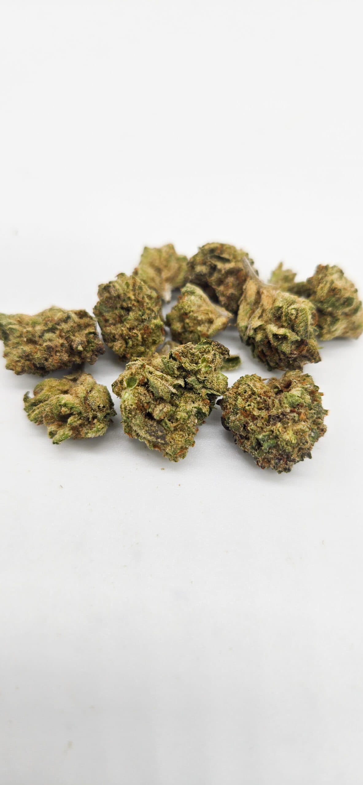 Cherry Swirl Smalls ( Indoor ) Hybrid