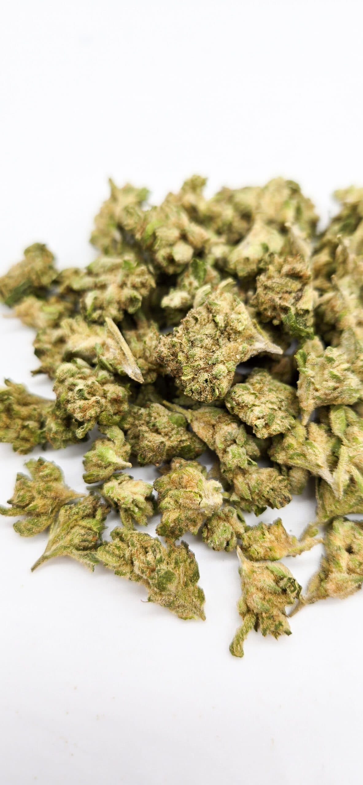 Pina Colada Smalls ( Indoor ) Hybrid