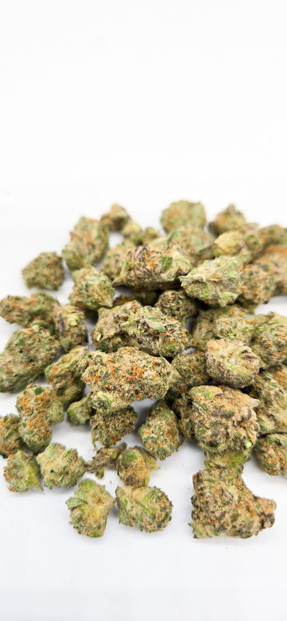 Sugar Heist Smalls ( Indoor ) Hybrid