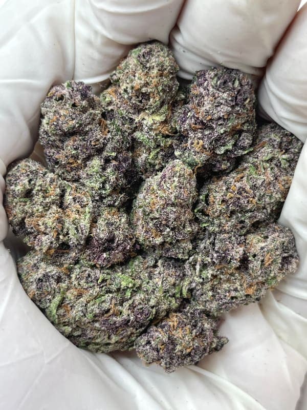 Iced Lemonade ( Indoor ) Sativa Hybrid