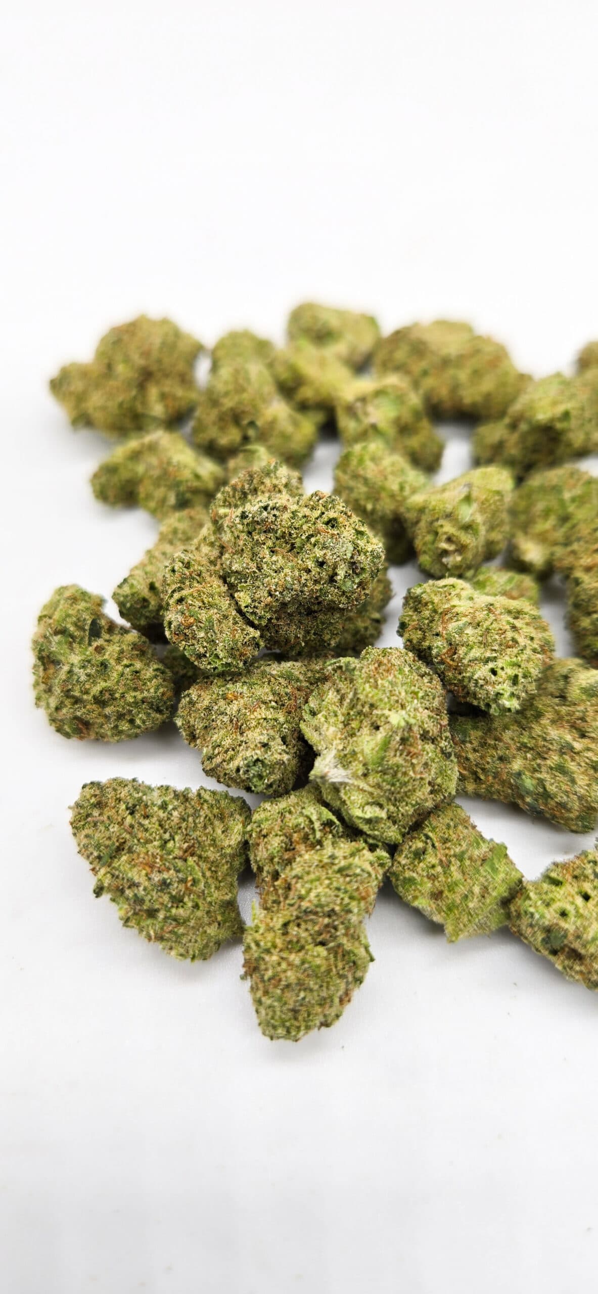 Splash Smalls ( Indoor ) Hybrid