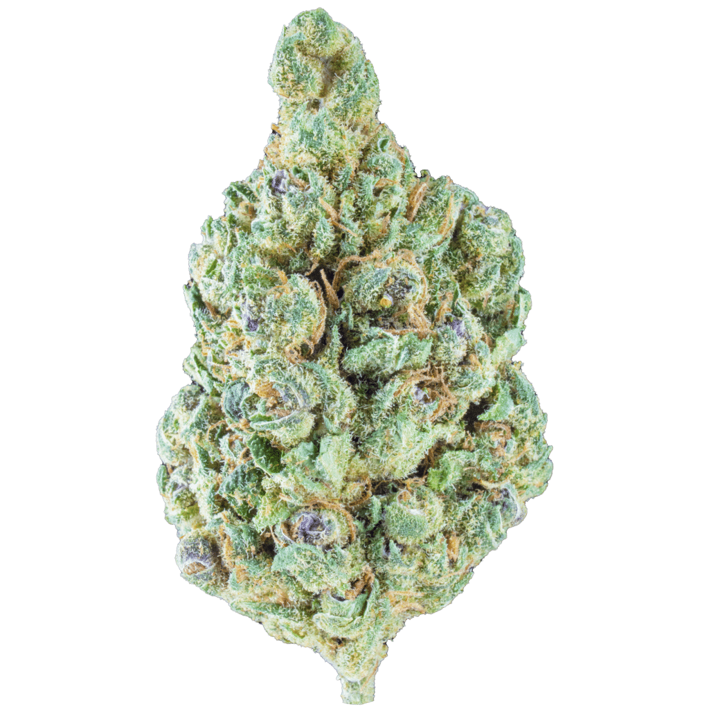 Hippie Stank