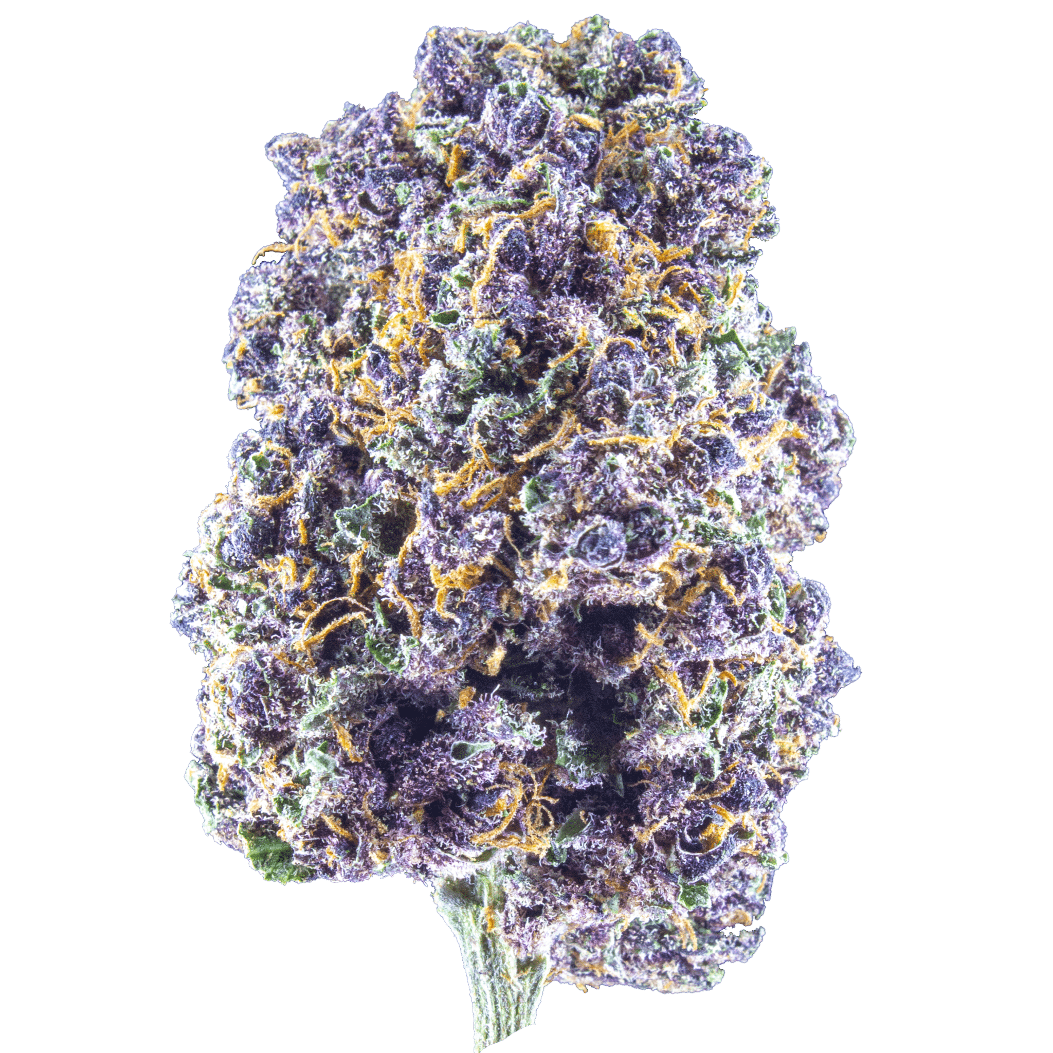 Legendary Platinum OG Diesel