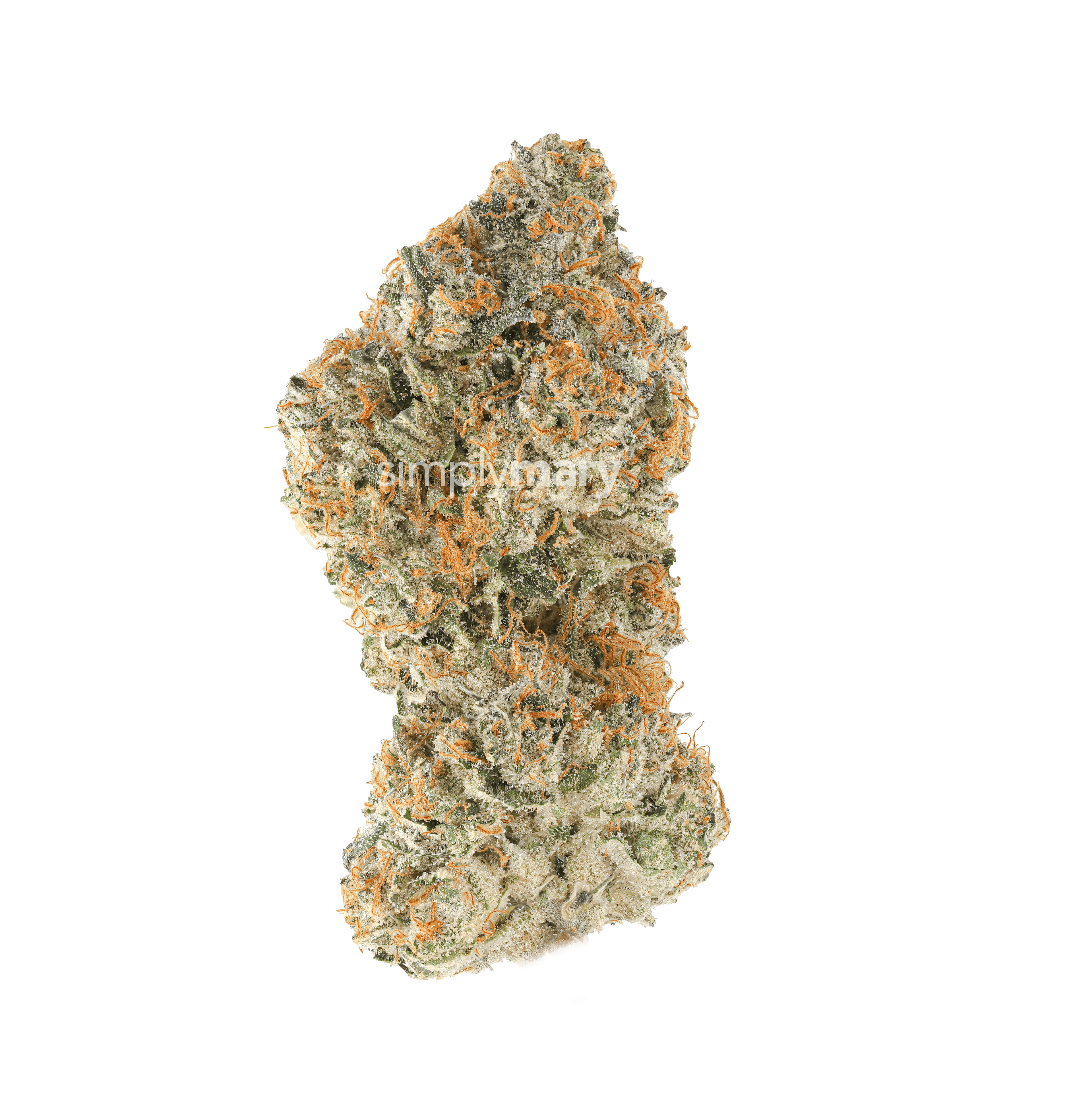 Rainbow Mintz | SimplyMary