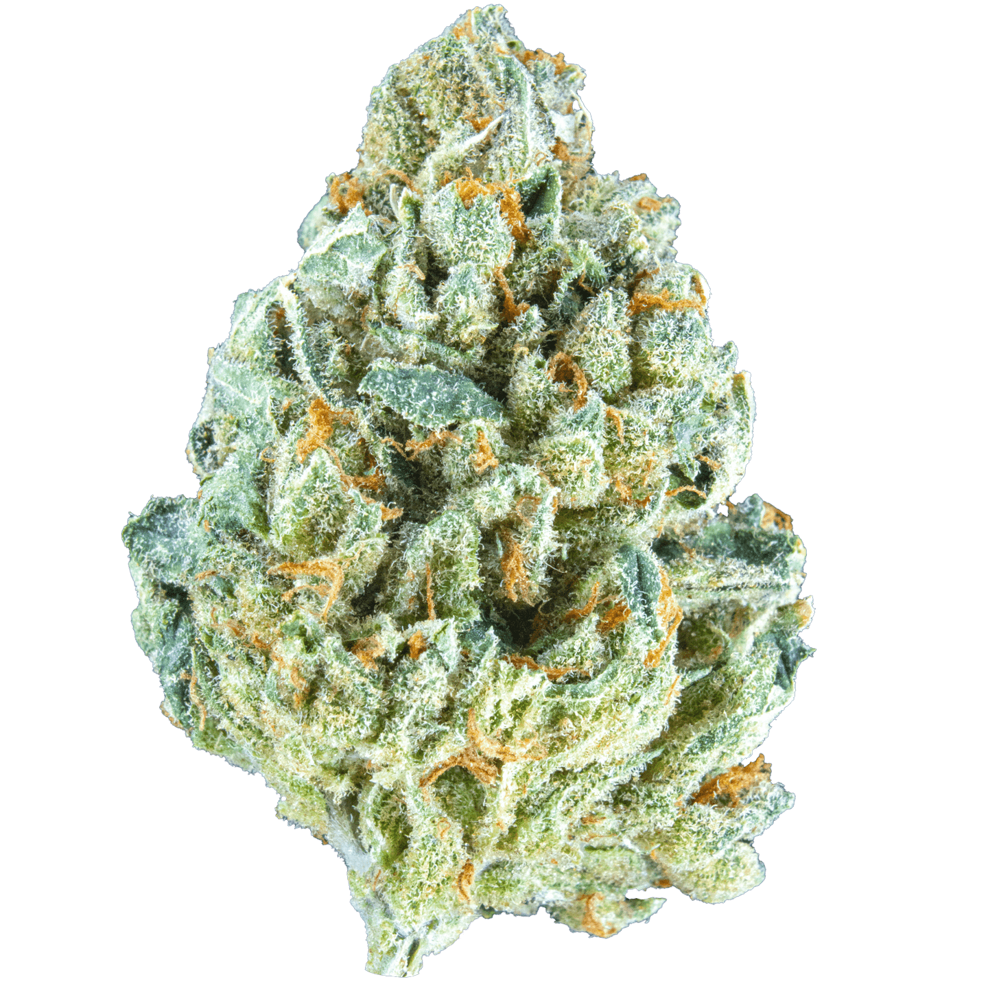 Romulan Stank