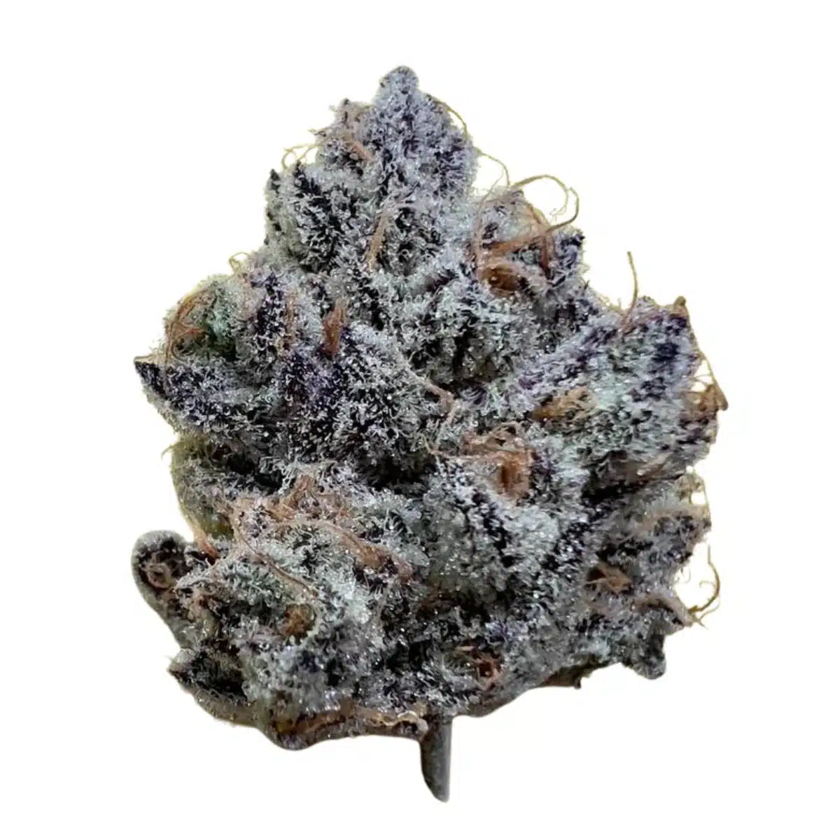 Lizard Burger THCA Flower