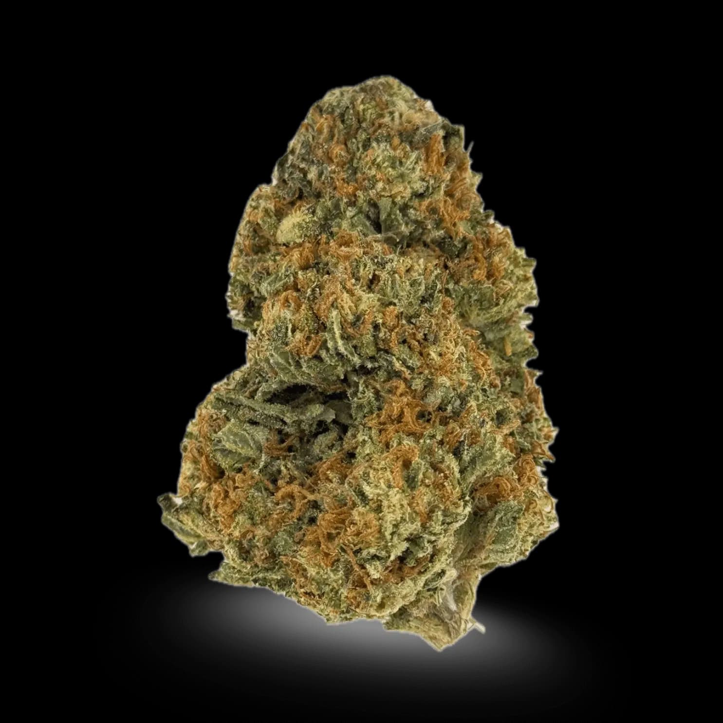 Biscotti THCA Flower – $50 an Ounce