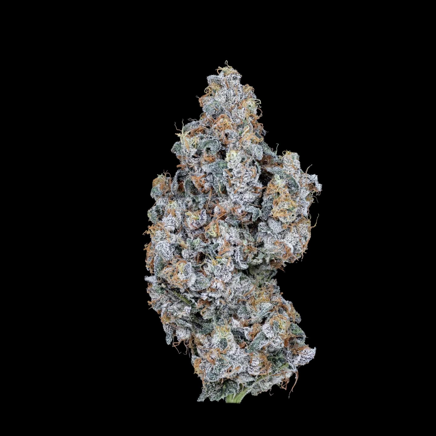 Astro Candy THCA Flower