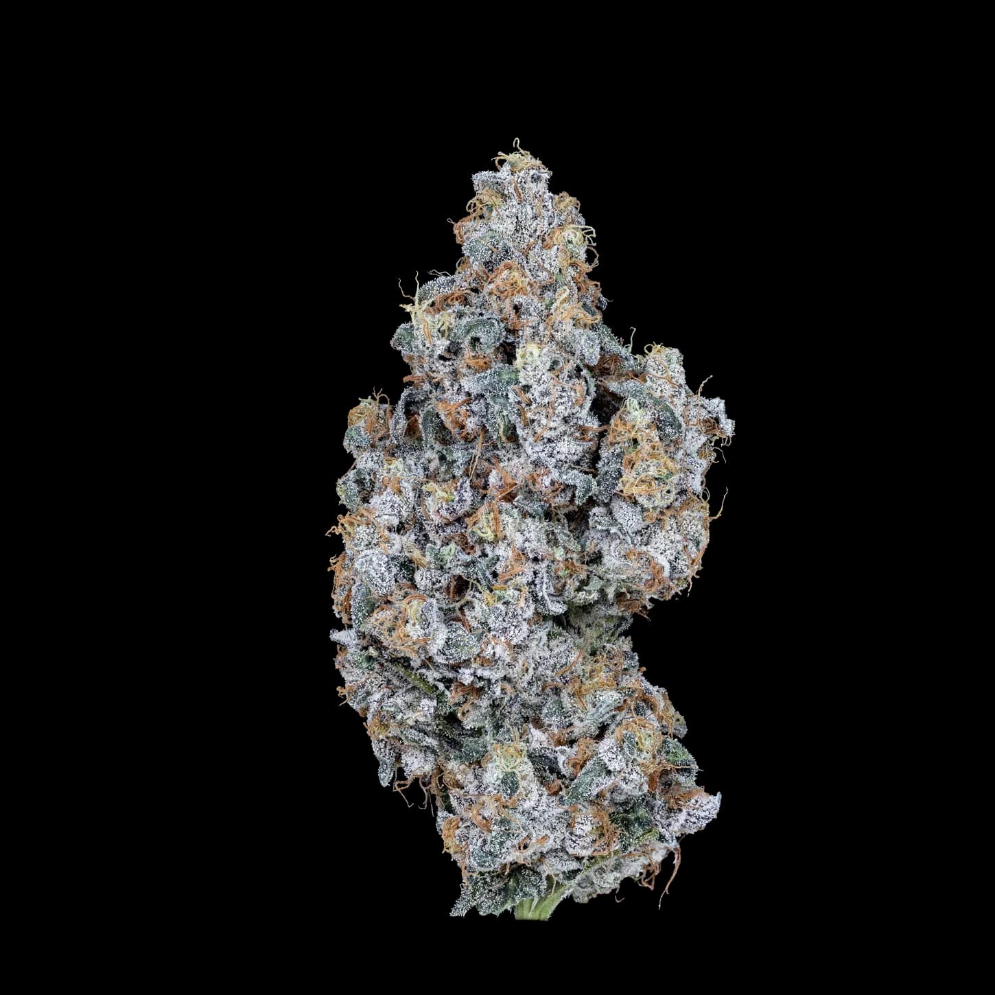 Astro Candy THCA Flower