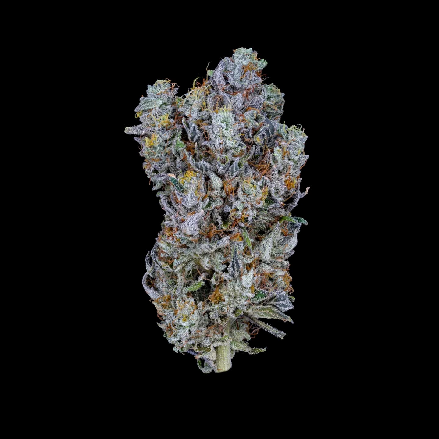 Pink Runtz THCA Flower