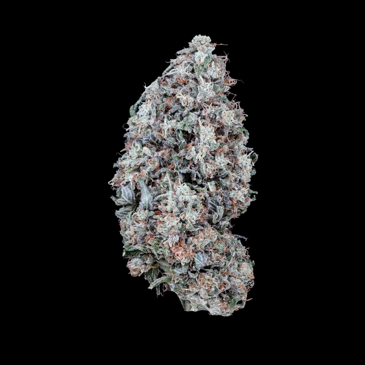 Northern Lights THCA Flower