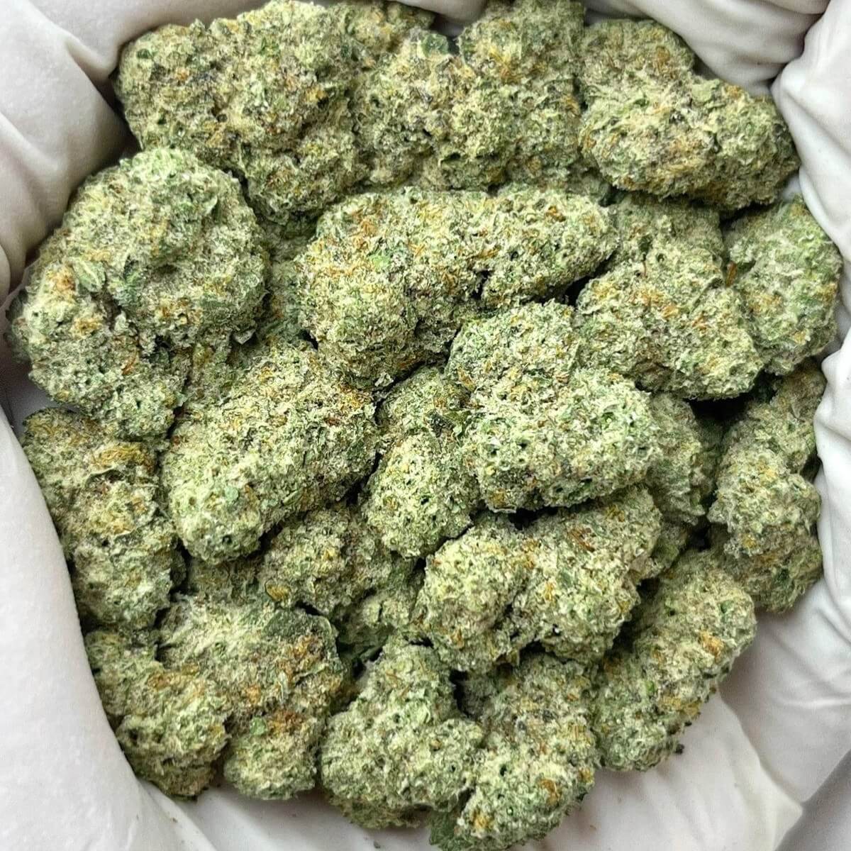 Black Ice Runtz THCa