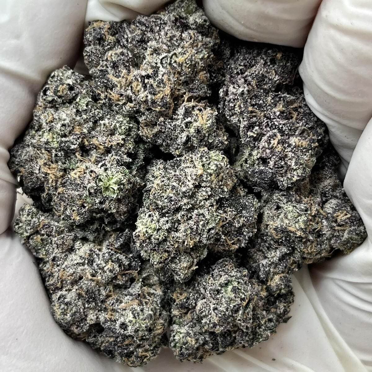 Blue Zushi THCa Indoor