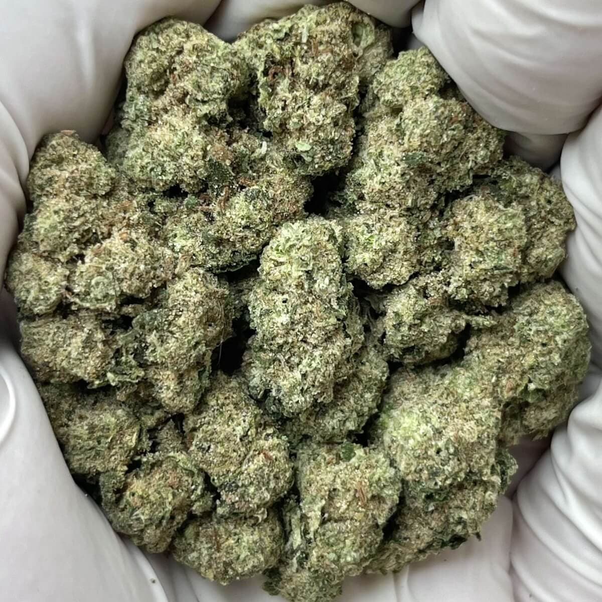 Grape Gas THCa