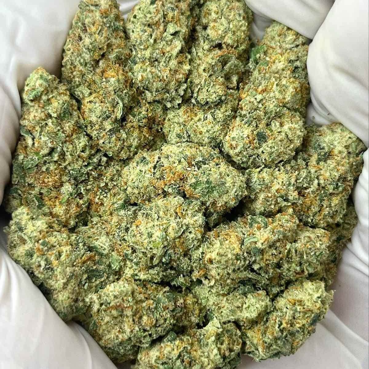 Jealous Driver THCa