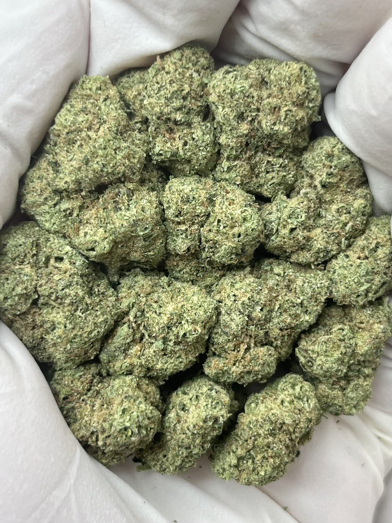 Gelato #33 THCa