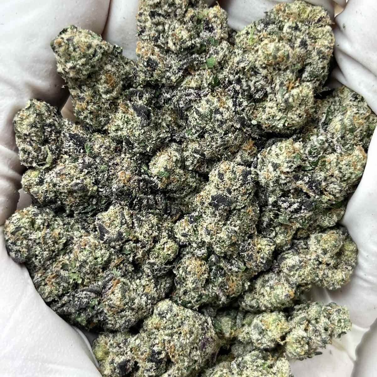 Astro Candy THCa Indoor