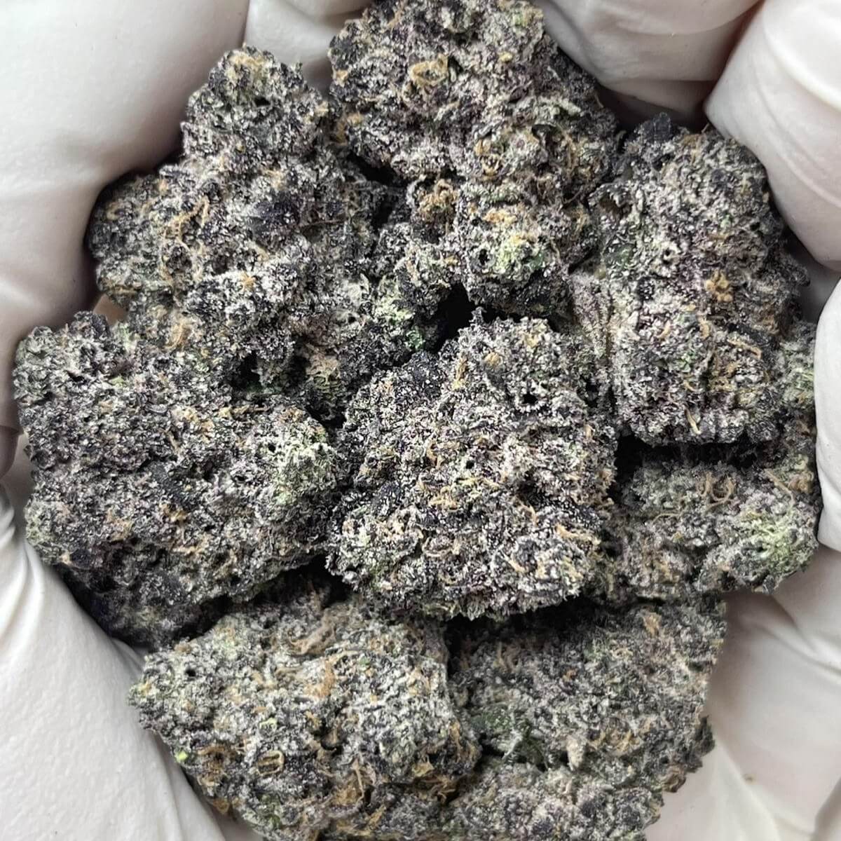 Black Mamba THCa Indoor