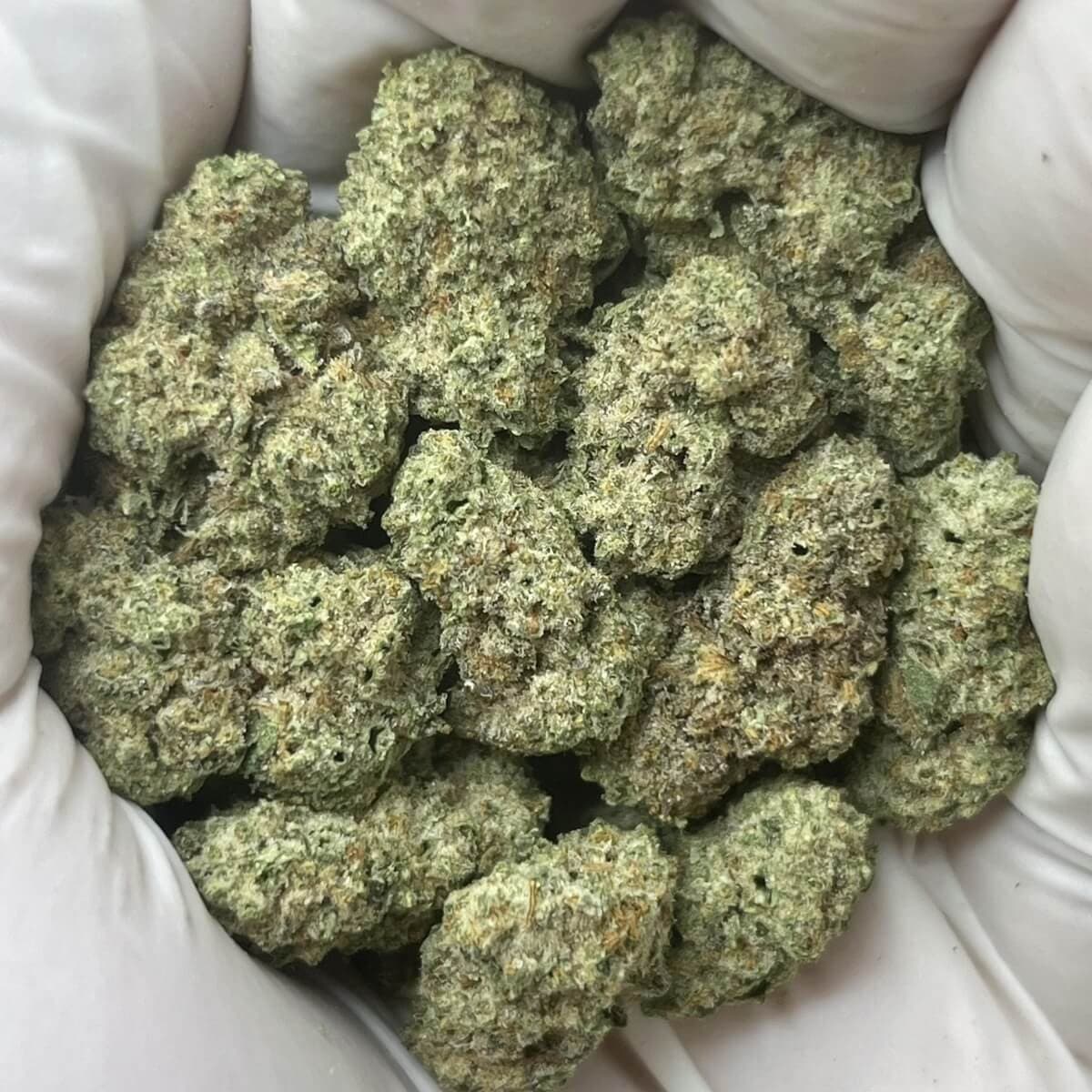 Oreo Breath THCa