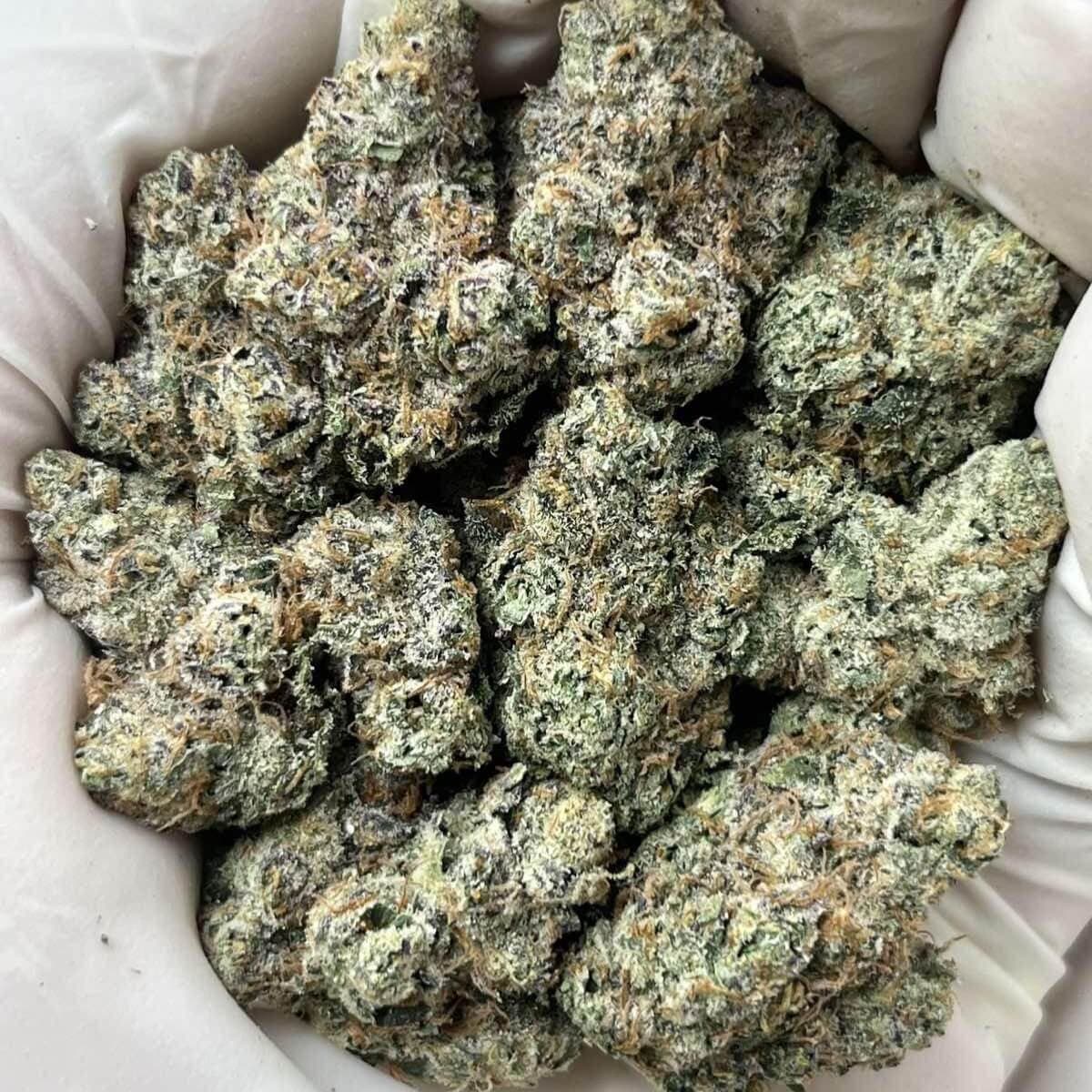 Secret Cookies THCa Indoor