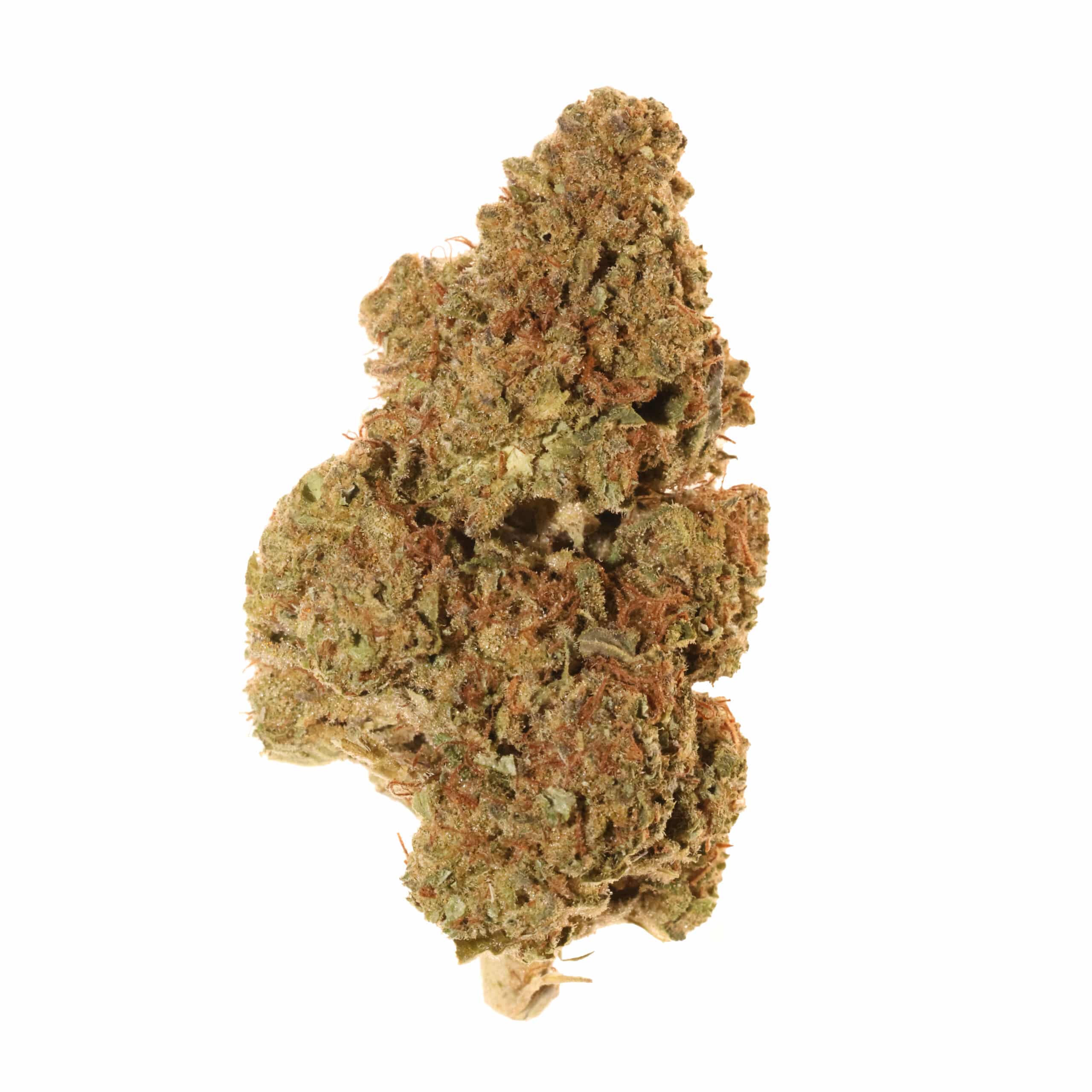 Blueberry Muffin THCa Flower (Greenhouse+)