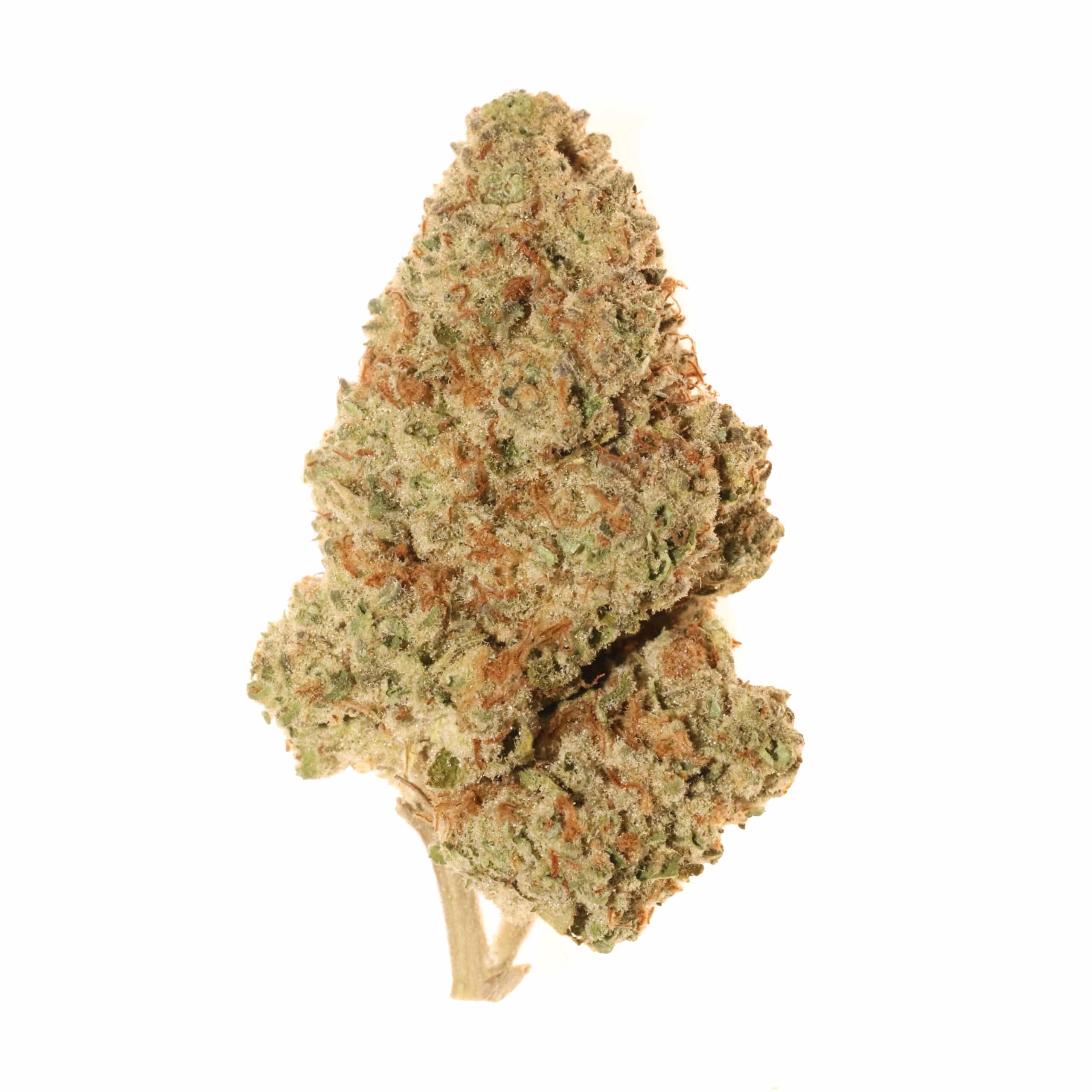 Maui Wowie THCa Flower (Greenhouse+)